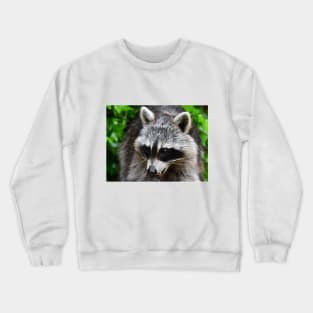 Raccoon Crewneck Sweatshirt